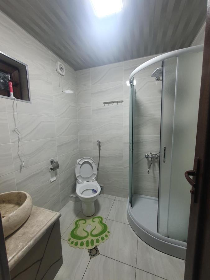 Gesh House Apartment Боржоми Екстериор снимка